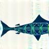 Illustration representing expert seafood sourcing